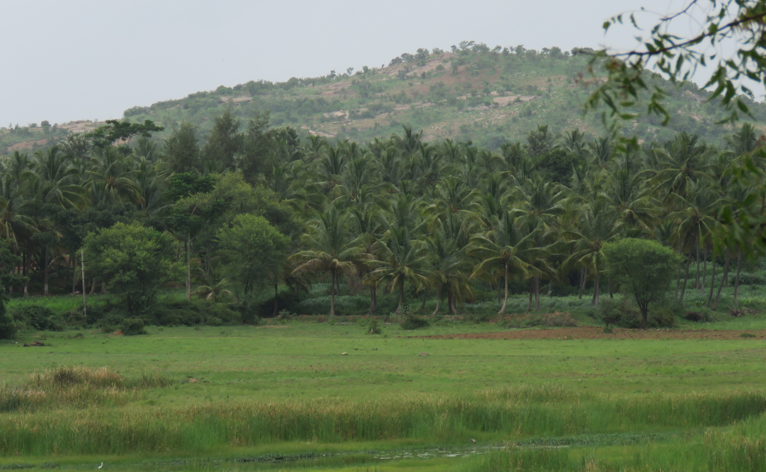 View of Kanva reservoir