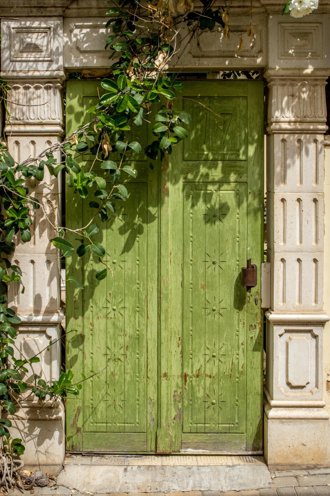 A Pistachio Green Door_Pic credit Freepik