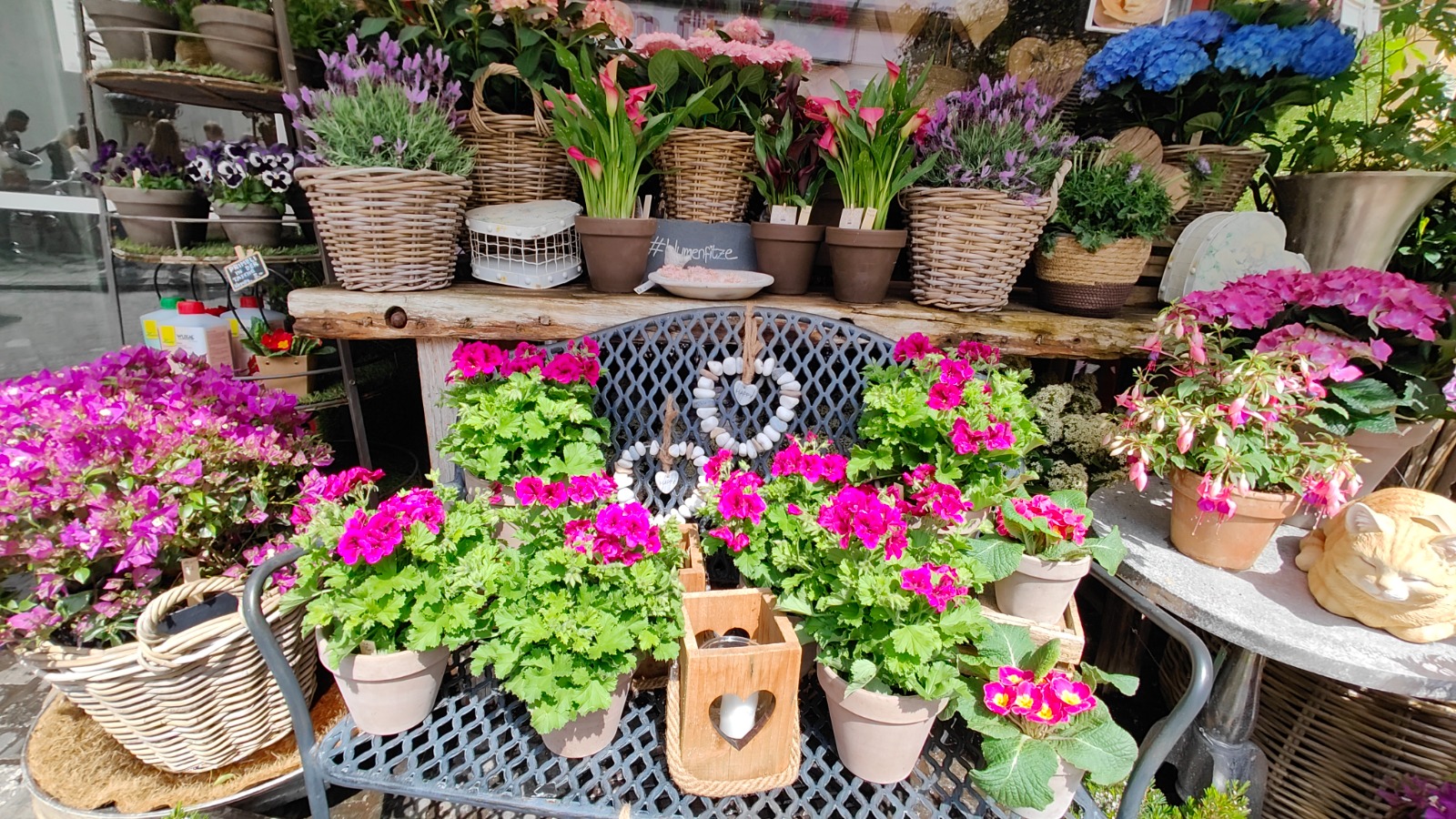 Make your garden spring ready